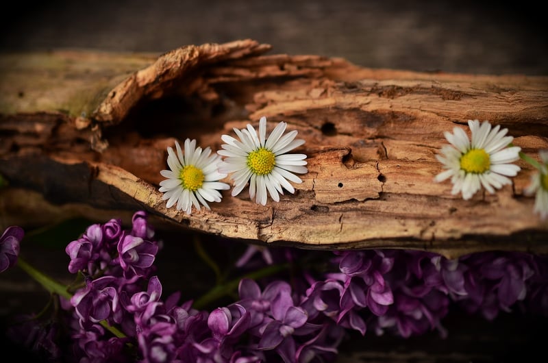 Rustic Elegance